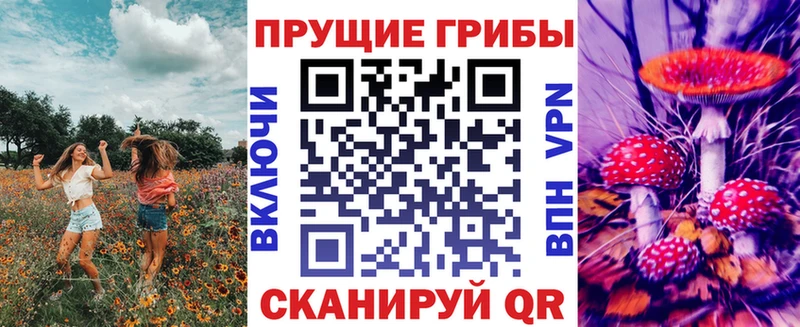 shop клад  Ува  Псилоцибиновые грибы GOLDEN TEACHER 